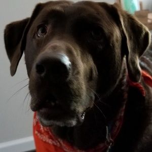 Meet your Posher, Angelique